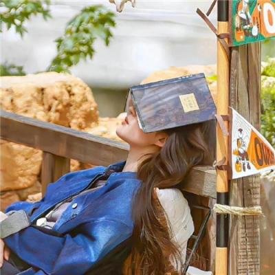 迷踪:第九鹰团 在线观看
