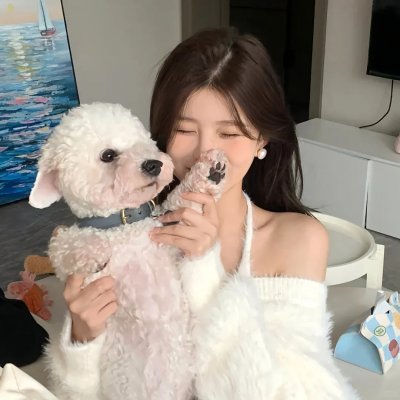 凤凰城故事